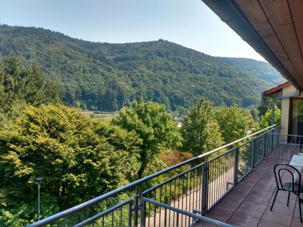 Hotel Zum Neckartal Heidelberg Exterior photo
