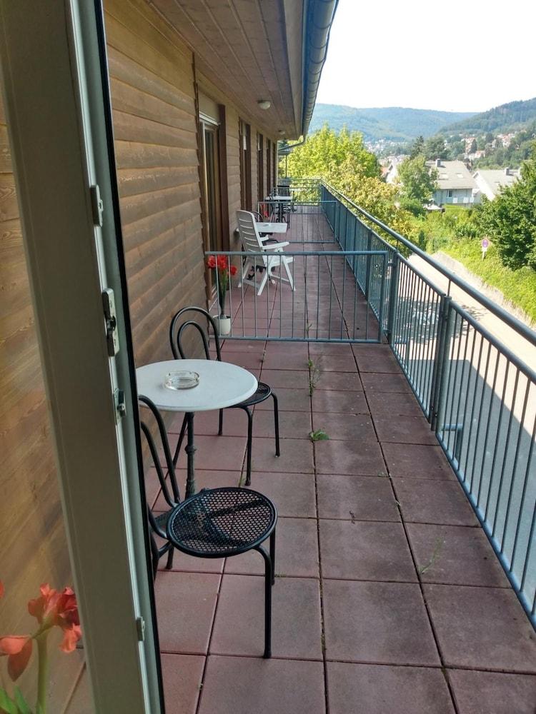 Hotel Zum Neckartal Heidelberg Exterior photo
